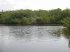 108-0851_IMG.jpg (83kb)