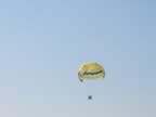 108-0862_IMG.jpg (28kb)