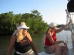 108-0882_IMG.jpg (94kb)