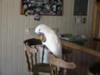 108-0898_IMG.jpg (71kb)