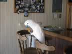 108-0899_IMG.jpg (72kb)