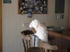 109-0902_IMG.jpg (72kb)