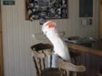 109-0903_IMG.jpg (71kb)