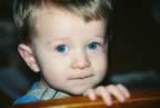 0685542-R1-008-2A.jpg (527kb)