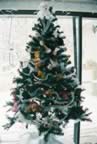 0685542-R1-052-24A.jpg (497kb)